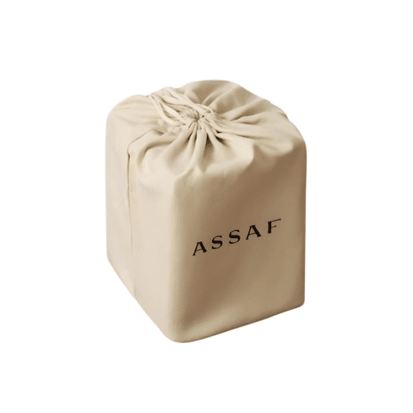 ⁦مجموعة بيقاسوس ASSAF⁩ - الصورة ⁦6⁩
